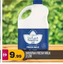 Bigmart HAYATNA Fresh Milk offer