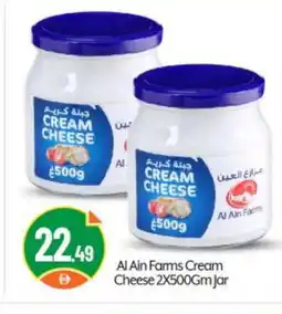 Bigmart AL AIN Cream Cheese offer