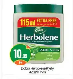 Bigmart DABUR Petroleum Jelly offer