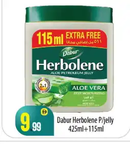 Bigmart DABUR Petroleum Jelly offer