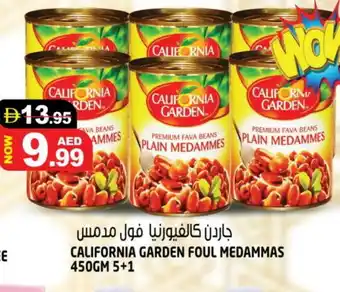 Hashim Hypermarket CALIFORNIA Fava Beans offer