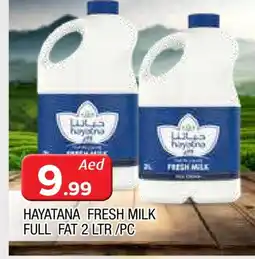 Al Madina HAYATNA Fresh Milk offer