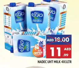 Al Madina NADEC Long Life / UHT Milk offer