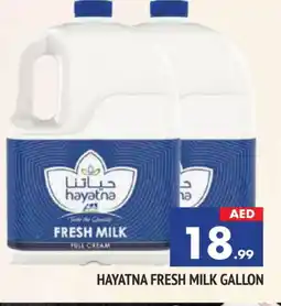 Al Madina HAYATNA Fresh Milk offer