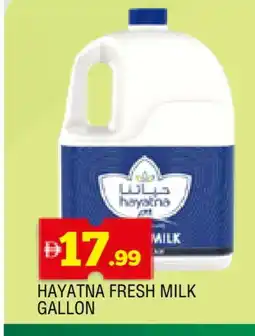 Al Madina HAYATNA Fresh Milk offer