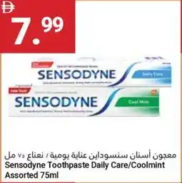 Grand Emirates Market Sensodyne Toothpaste Daily Care / Coolmint Assorted offer