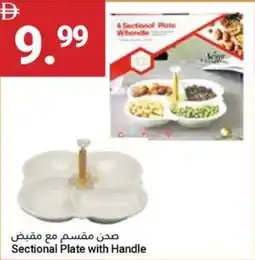 Sectional Plate with Handle