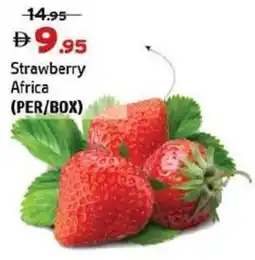 Al Hoot Strawberry Africa offer