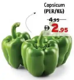 Al Hoot Capsicum offer