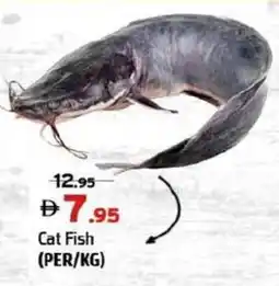 Al Hoot Cat Fish offer