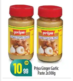 Bigmart PRIYA Garlic Paste offer