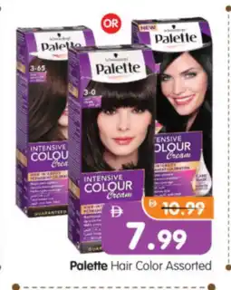 Al Madina Hypermarket PALETTE Hair Cream offer