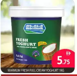 Bigmart MARMUM Yoghurt offer