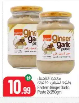Bigmart EASTERN Garlic Paste offer