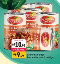 Shaklan CALIFORNIA Fava Beans offer