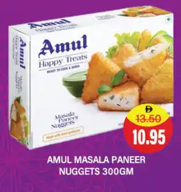 Adil Supermarket AMUL Spices / Masala offer