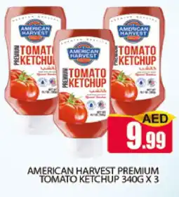 Al Madina AMERICAN HARVEST Tomato Ketchup offer