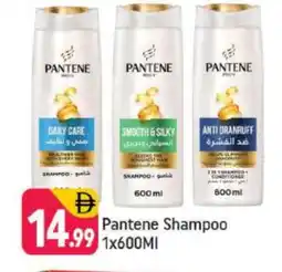 Shaklan PANTENE Shampoo / Conditioner offer