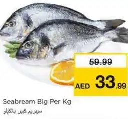Nesto Seabream Big offer