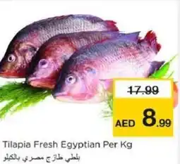 Nesto Tilapia Fresh Egyptian offer