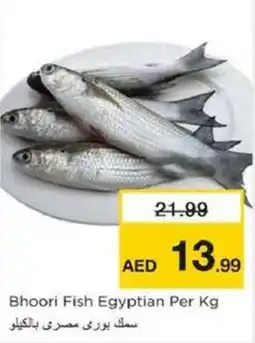 Nesto Bhoori Fish Egyptian offer