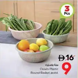 Nesto Oxwin Plastic Round Basket asstd. offer