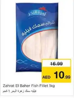 Nesto Zahrat El Baher Fish Fillet offer