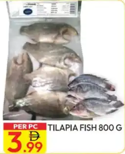 Dream Land Center Tilapia Fish offer