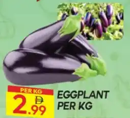 Dream Land Center Eggplant offer