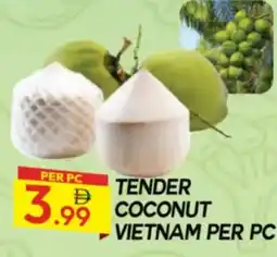 Dream Land Center Tender Coconut Vietnam offer