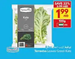 Viva Terraviva Leaves Green Kale offer