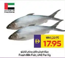 Megamart Fresh Milk Fish offer
