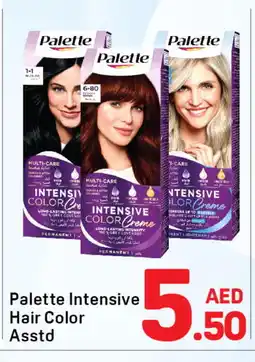 Day To Day PALETTE Hair Colour offer