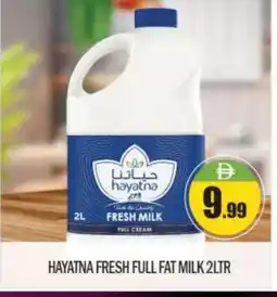 Bigmart HAYATNA Full Cream Milk offer