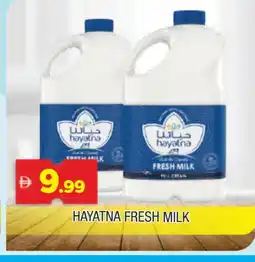 Al Madina HAYATNA Fresh Milk offer