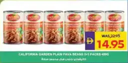 Megamart California garden plain fava beans offer