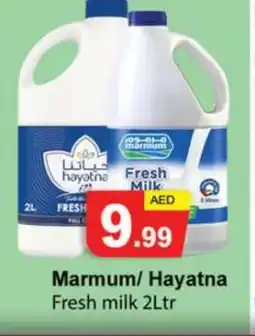 Gulf Hypermarket MARMUM Fresh Milk offer