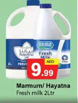 Zain Hypermarket MARMUM Fresh Milk offer