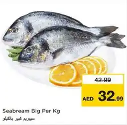 Nesto Seabream Big offer