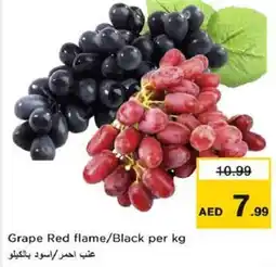 Nesto Grape Red flame Black offer