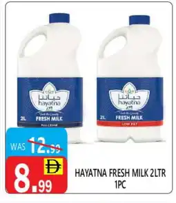 United Hypermarket HAYATNA Full Cream Milk offer