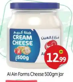 Bigmart AL AIN Cream Cheese offer