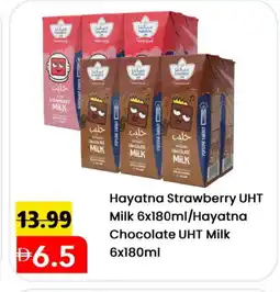 Mark & Save HAYATNA Long Life / UHT Milk offer