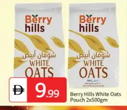 Talal Market BERRY HILLS Oats offer