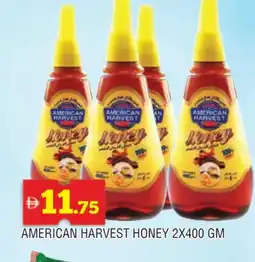 Al Madina AMERICAN HARVEST Honey offer