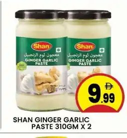Al Madina SHAN Garlic Paste offer
