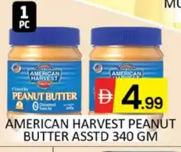 Al Madina AMERICAN HARVEST Peanut Butter offer