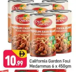Shaklan CALIFORNIA Fava Beans offer