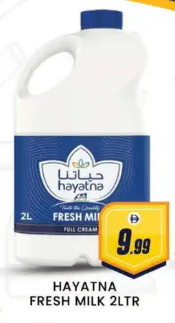 Al Madina HAYATNA Full Cream Milk offer