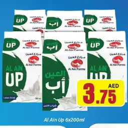 Al Madina AL AIN Laban offer